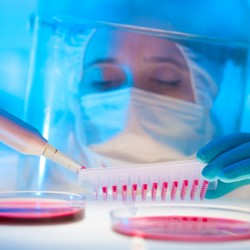 HPV Diagnostics HPV Diagnostics
